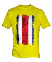 Costa Rica Grunge Flag Mens T-Shirt