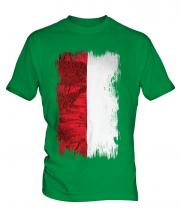 Indonesia Grunge Flag Mens T-Shirt