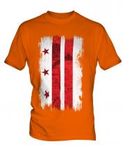 Washington Dc Grunge Flag Mens T-Shirt