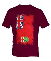 Ontario Grunge Flag Mens T-Shirt