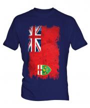 Ontario Grunge Flag Mens T-Shirt