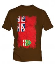 Ontario Grunge Flag Mens T-Shirt