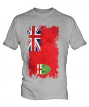 Ontario Grunge Flag Mens T-Shirt
