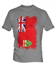 Ontario Grunge Flag Mens T-Shirt