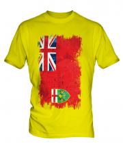 Ontario Grunge Flag Mens T-Shirt