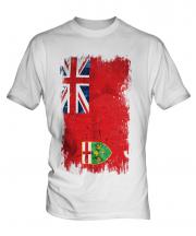 Ontario Grunge Flag Mens T-Shirt