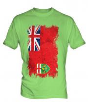 Ontario Grunge Flag Mens T-Shirt