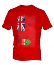 Ontario Grunge Flag Mens T-Shirt
