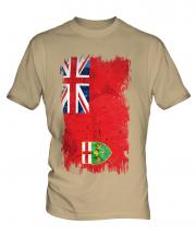 Ontario Grunge Flag Mens T-Shirt