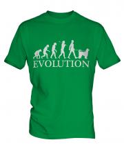 Afghan Hound Evolution Mens T-Shirt
