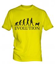 Akita Inu Evolution Mens T-Shirt