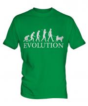 Alaskan Malamute Evolution Mens T-Shirt