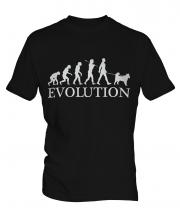 Alaskan Malamute Evolution Mens T-Shirt