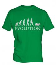 American Akita Evolution Mens T-Shirt