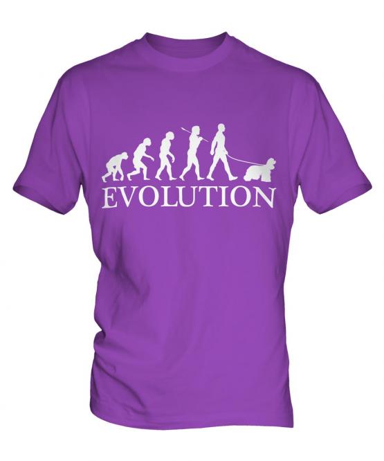 American Cocker Spaniel Evolution Mens T-Shirt