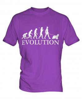 American Cocker Spaniel Evolution Mens T-Shirt