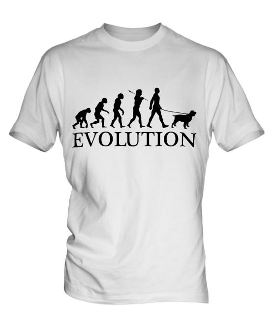 Water Spaniel Evolution Mens T-Shirt