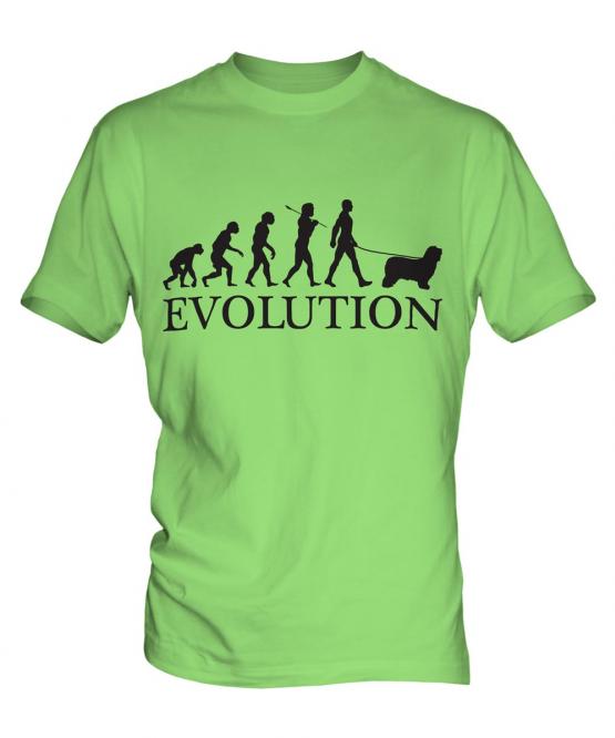 Bearded Collie Evolution Mens T-Shirt