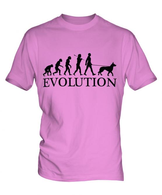 Belgian Malinois Evolution Mens T-Shirt