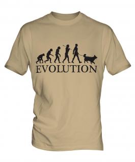 Belgian Tervuren Evolution Mens T-Shirt
