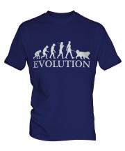 Bernese Mountain Dog Evolution Mens T-Shirt