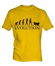 Bernese Mountain Dog Evolution Mens T-Shirt