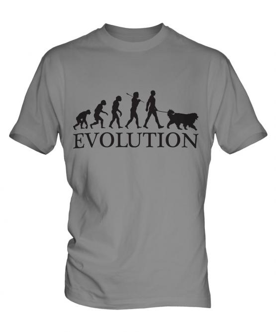 Bernese Mountain Dog Evolution Mens T-Shirt