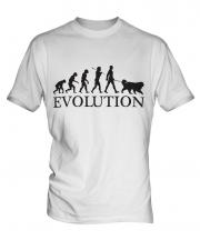 Bernese Mountain Dog Evolution Mens T-Shirt