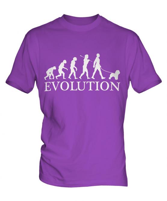 Bichon Frise Evolution Mens T-Shirt