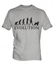 Briard Evolution Mens T-Shirt