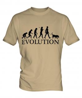 Chesapeake Bay Retriever Evolution Mens T-Shirt