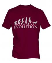 Curly-Coated Retriever Evolution Mens T-Shirt