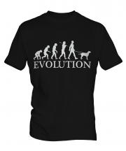 Curly-Coated Retriever Evolution Mens T-Shirt