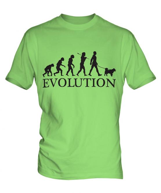 Finnish Spitz Evolution Mens T-Shirt