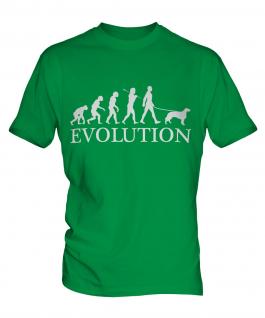 Irish Setter Evolution Mens T-Shirt