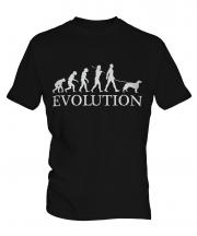 Irish Setter Evolution Mens T-Shirt
