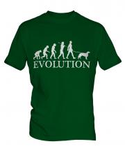 Irish Setter Evolution Mens T-Shirt
