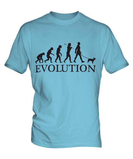 Miniature Bull Terrier Evolution Mens T-Shirt