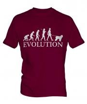 Old English Sheepdog Evolution Mens T-Shirt