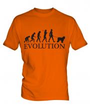 Old English Sheepdog Evolution Mens T-Shirt