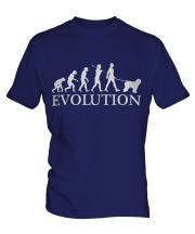 Old English Sheepdog Evolution Mens T-Shirt