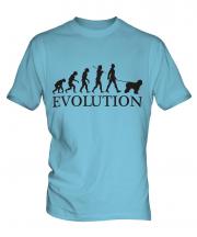 Old English Sheepdog Evolution Mens T-Shirt
