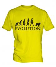 Old English Sheepdog Evolution Mens T-Shirt