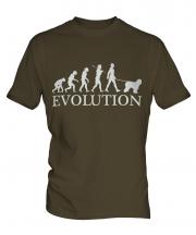 Old English Sheepdog Evolution Mens T-Shirt