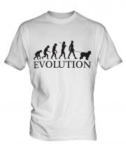 Old English Sheepdog Evolution Mens T-Shirt