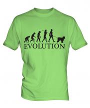 Old English Sheepdog Evolution Mens T-Shirt