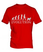 Old English Sheepdog Evolution Mens T-Shirt