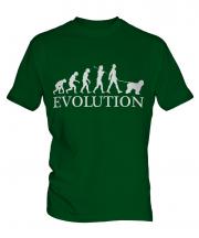 Old English Sheepdog Evolution Mens T-Shirt