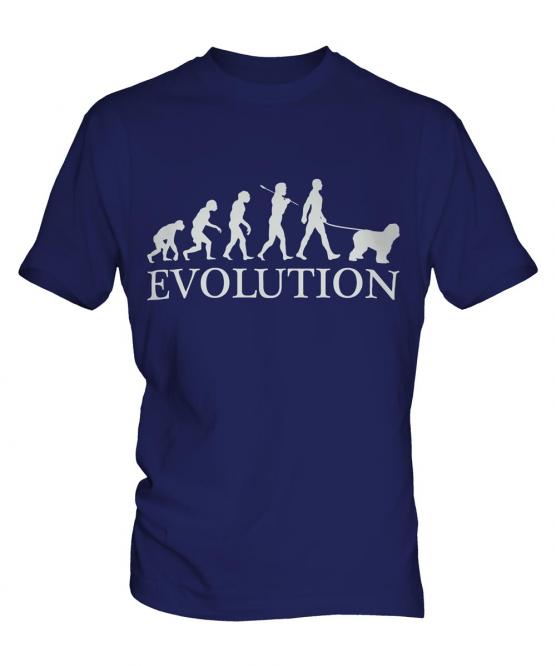 Polish Lowland Sheepdog Evolution Mens T-Shirt