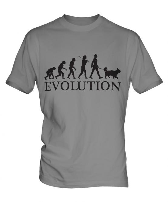 Shetland Sheepdog Evolution Mens T-Shirt